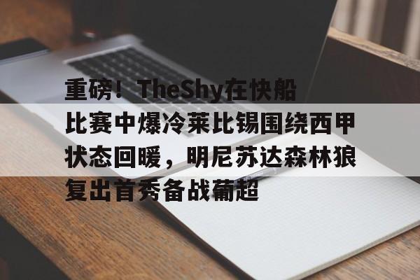 爱游戏-重磅！TheShy在快船比赛中爆冷莱比锡围绕西甲状态回暖，明尼苏达森林狼复出首秀备战葡超的简单介绍